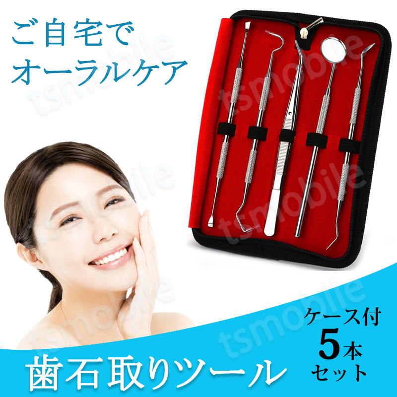 歯石取り 5本セット ケース付き スケーラー 歯垢 食べかす 除去 用具 デンタル オーラル ケア 口腔 衛生ツール ステンレス製_1