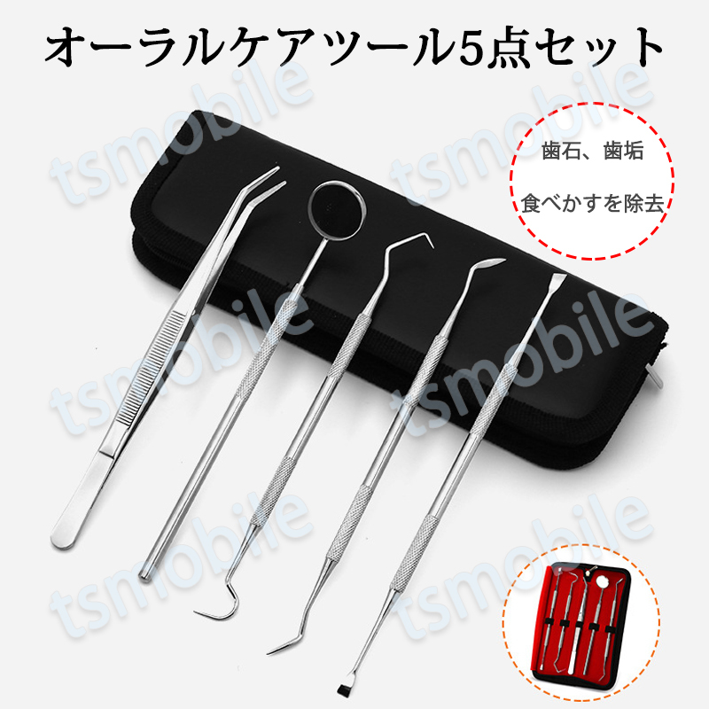 歯石取り 5本セット ケース付き スケーラー 歯垢 食べかす 除去 用具 デンタル オーラル ケア 口腔 衛生ツール ステンレス製_2