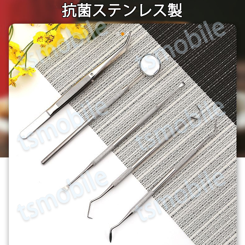 歯石取り 5本セット ケース付き スケーラー 歯垢 食べかす 除去 用具 デンタル オーラル ケア 口腔 衛生ツール ステンレス製_4