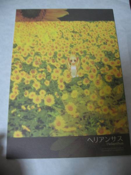 Yes プリキュア5同人誌シロうら本 ワルツ ローレライ 2冊 少女 売買されたオークション情報 Yahooの商品情報をアーカイブ公開 オークファン Aucfan Com