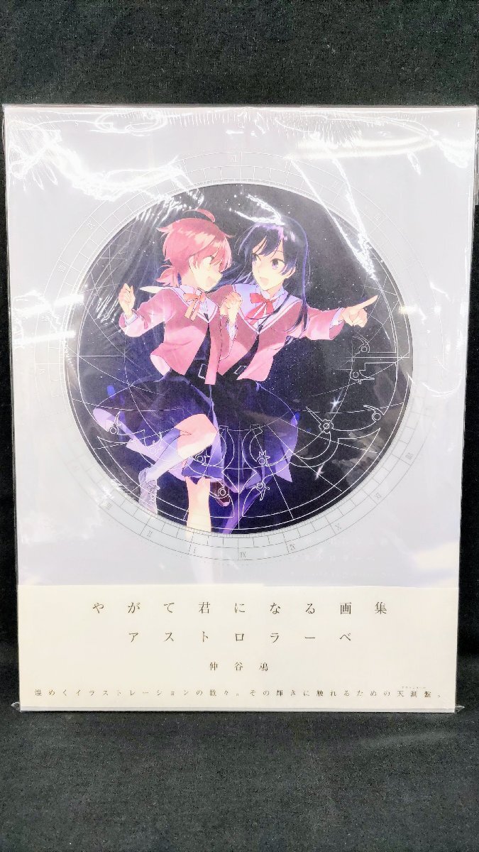 T2652 新品未開封 仲谷鳰 やがて君になる 画集 アストロラーベ