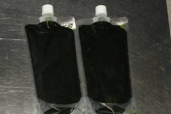 火曜金曜に入荷　生クロレラ　５００ｍｌ×１本　クール便_1