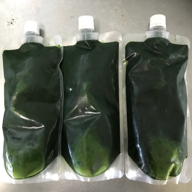 火曜金曜に入荷　生クロレラ　５００ｍｌ×１本　クール便_3
