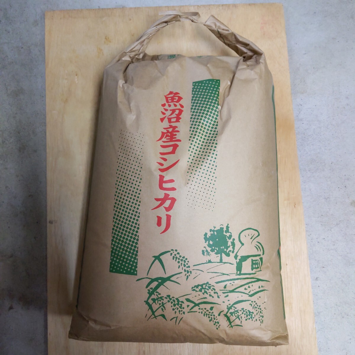 新潟産 お米 玄米 古米 令和5年 30kg 半俵 コシヒカリ 精米サービス 