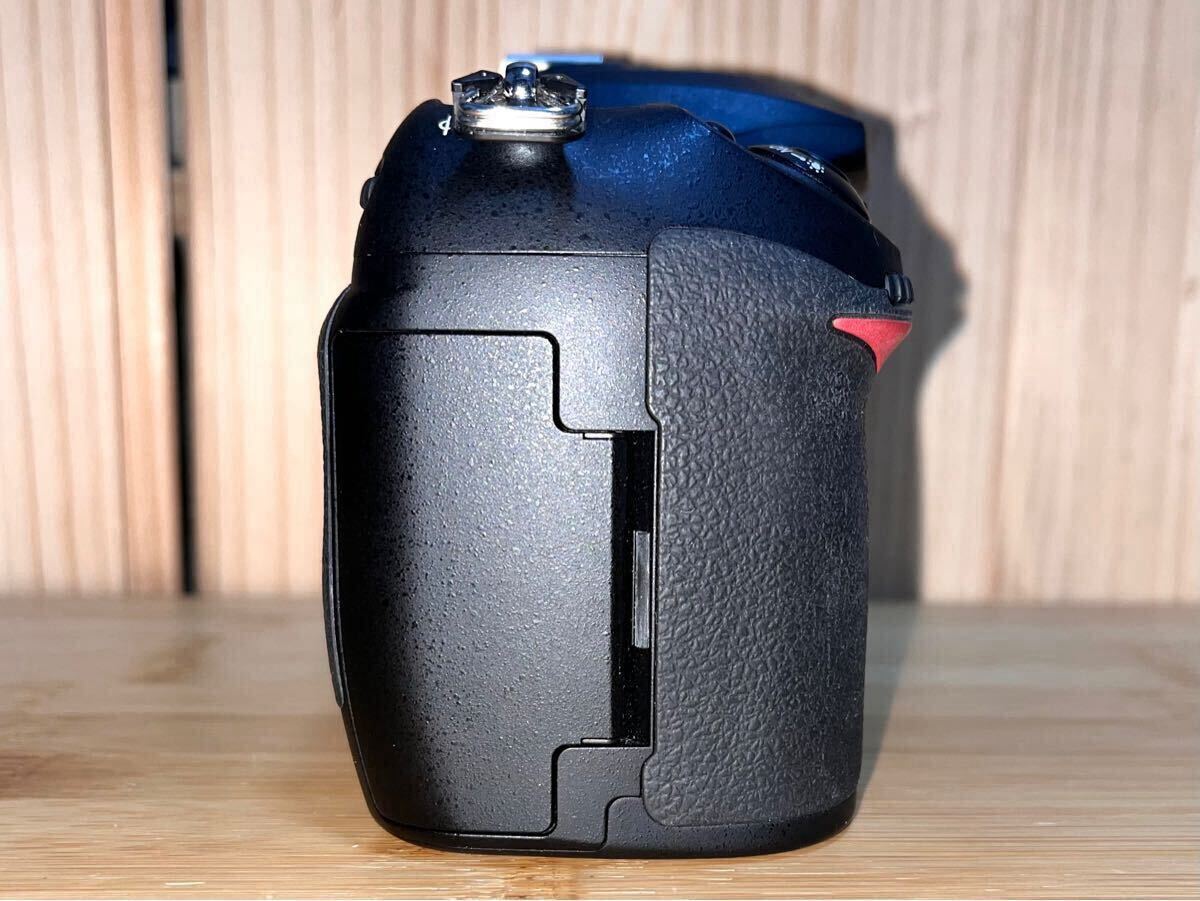 ☆ショット数3132 美品 Nikon ニコン D200ボディ CCDセンサー 10.2 メガピクセル APS-C デジタル一眼レフカメラ DXフォーマット_5