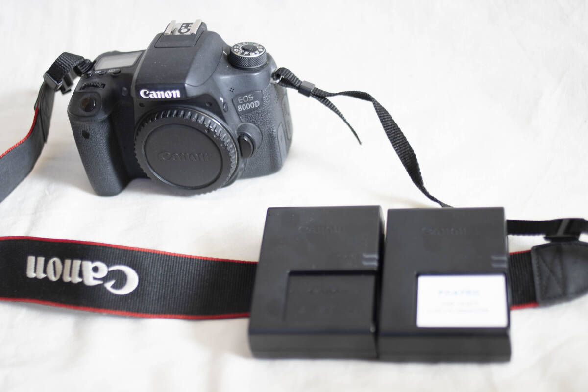 EOS 8000D デジタル一眼レフカメラ Canon CANON ボディ Mark Watch 