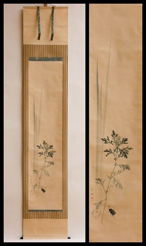 【 幸 茶匠の蔵 】『長谷川玉峰』筆 菖蒲に甲虫図(端午の節句) 幅◆当店保証 明治年 茶道具『茶人の言葉』