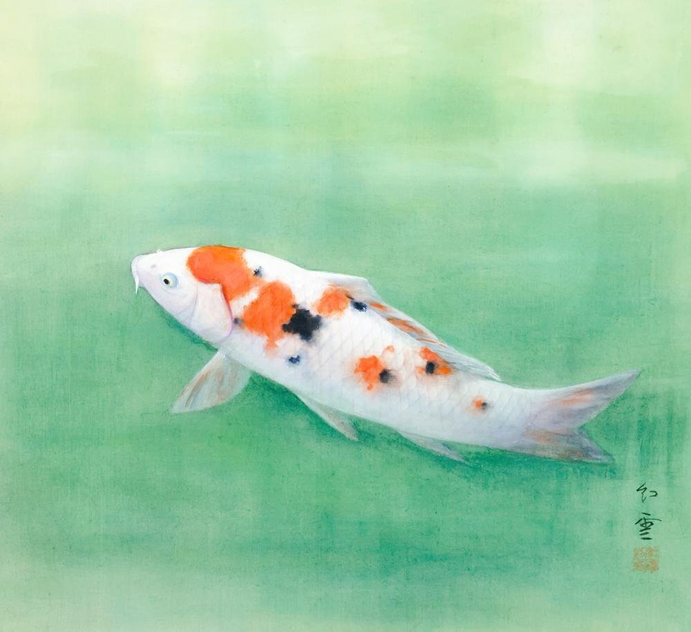 K130 佐藤黙雲 「大昇鯉」 掛軸 日本画 絹本 共箱 K130 佐藤黙雲 「大昇鯉」 掛軸 日本画 絹本 共箱 【公式通販】