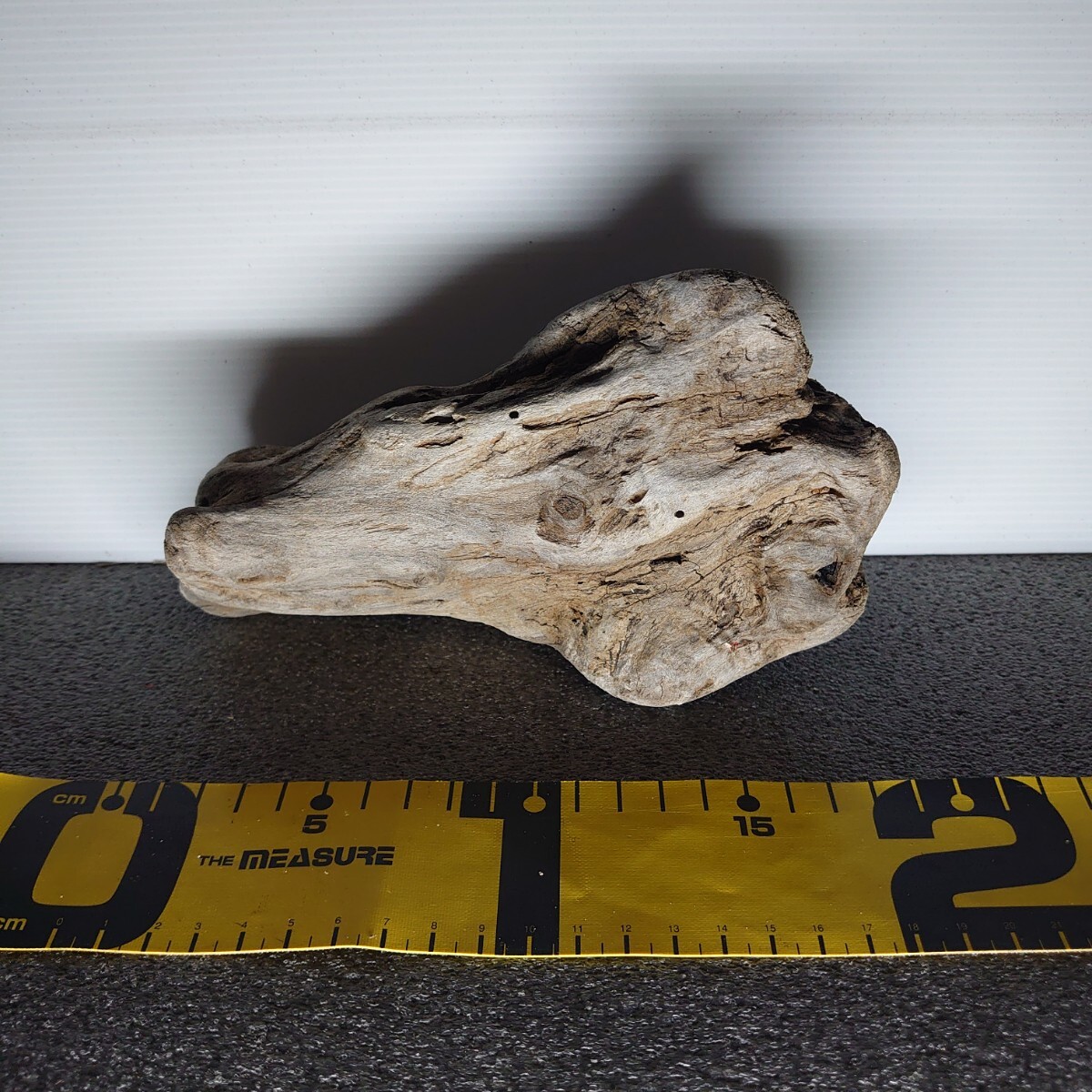 【即決】処理済み★小型流木★煮沸消毒済み アク抜き作業済み★水槽 テラリウム オブジェ 多肉植物 昆虫★No.小277★★100均セール開催中！_8