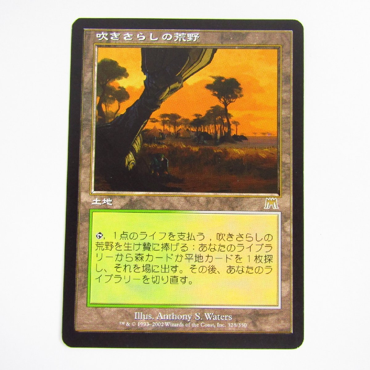 MTG マジック：ザ・ギャザリング 吹きさらしの荒野 / Windswept Heath