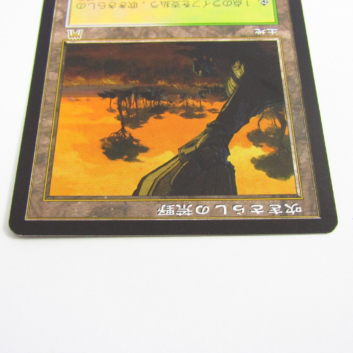 吹きさらしの荒野 MTG Heath 4枚セット 公式通販 旧枠 4枚 日本語