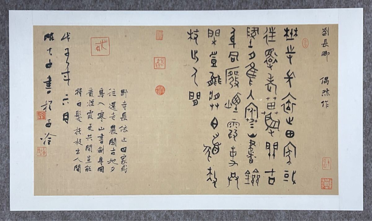 茶掛 表千家 【久田宗也 (尋牛斎)】『蓬莱五雲中』紙本 桐共箱 真筆