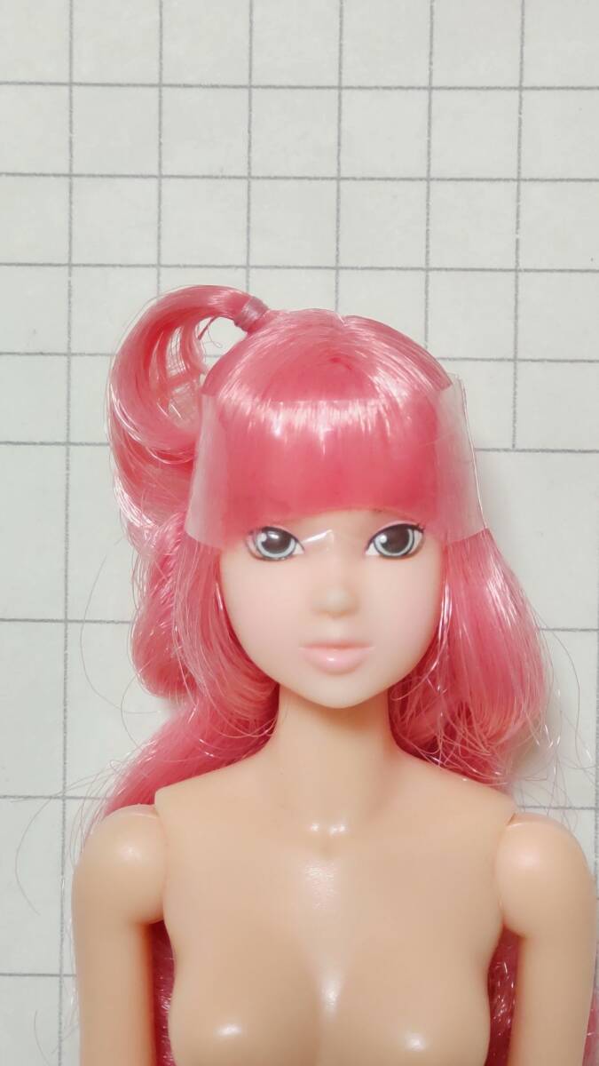 本体のみ CCS-momoko 10ss Home Peach Smoothie ペットワークス Home