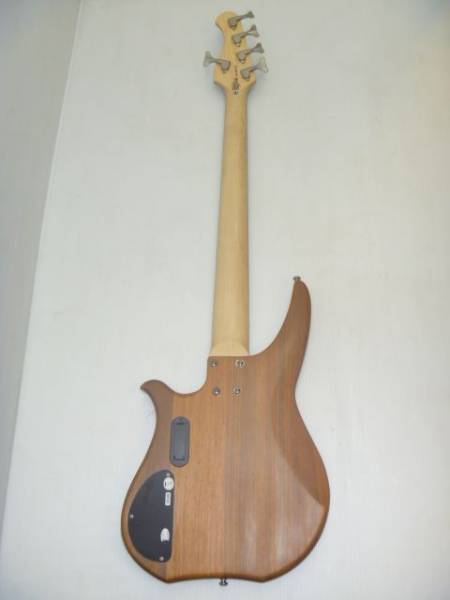 Washburn ワッシュバーン エレキベース 5弦 CB15 CO(本体)|売買 Washburn ワッシュバーン エレキベース 5弦 CB15 CO(本体)|売買