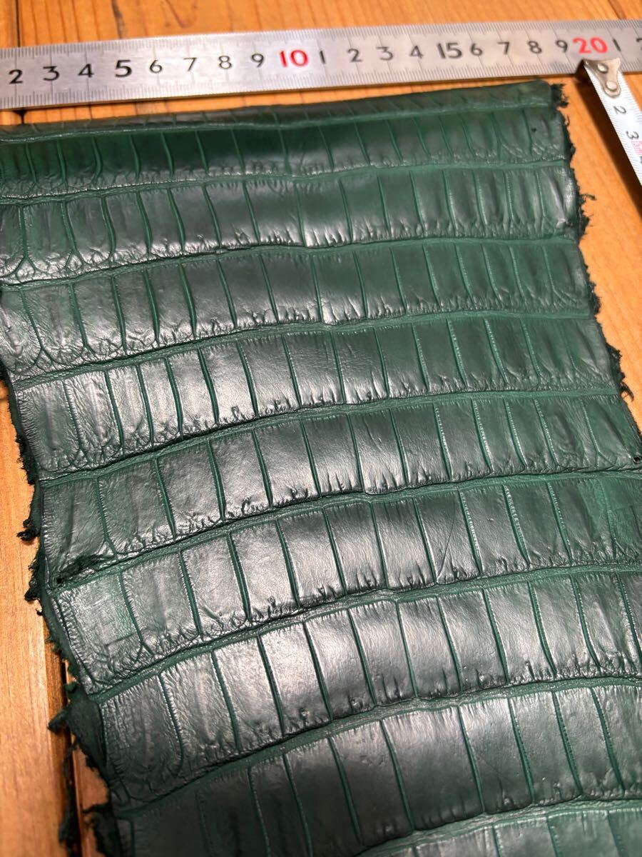 クロコダイル　グリーン　マット　ワニ革　レザークラフト　革細工　国内生産　国内鞣製　テール　小物　折り財布_2