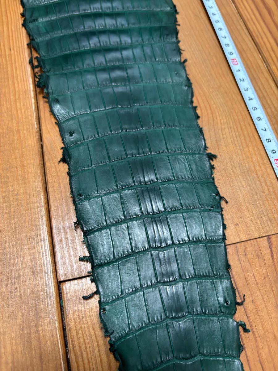 クロコダイル　グリーン　マット　ワニ革　レザークラフト　革細工　国内生産　国内鞣製　テール　小物　折り財布_3