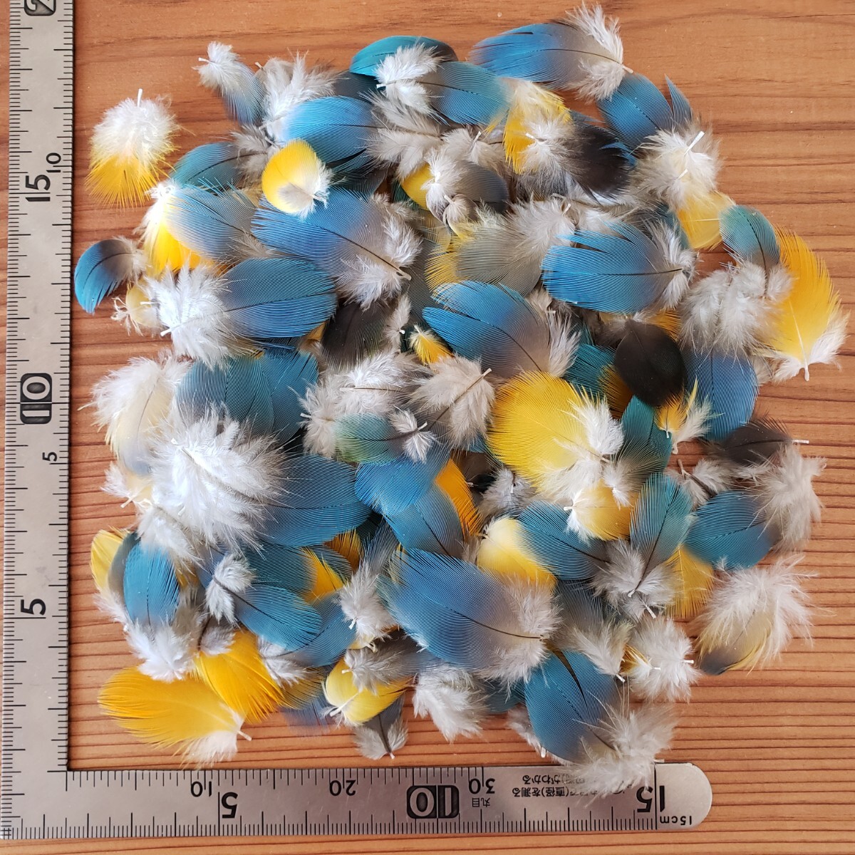 ブルーマコウ　フェザー　羽根　フライ　素材_1