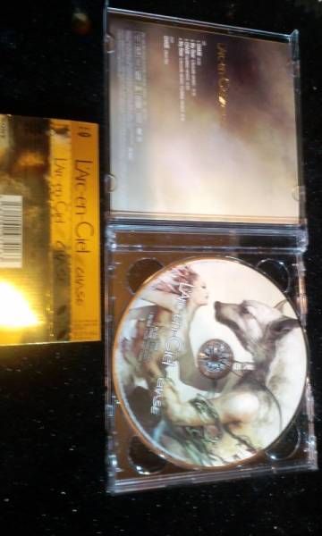 L'Arc-en-Ciel CHASE CD＋DVD 帯付き 美品 初回限定版_2