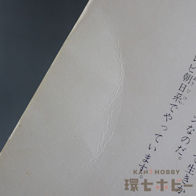 2WA42◇当時物 東映 ジャッカー電撃隊 JAKQ ヒーローショー観覧時