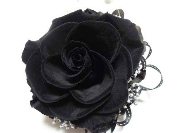 ★ベリーズ*高級プリザーブドコサージュ・バラパールB1_1