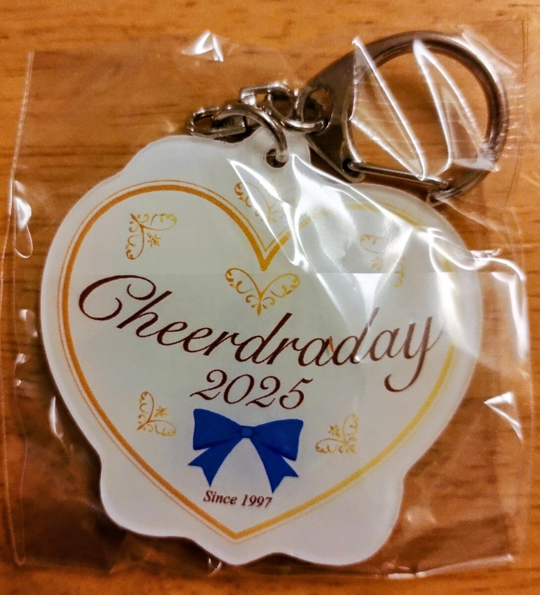 中日ドラゴンズ チアドラゴンズ 2025 野球ガチャ チアドラデー限定 全16種 アクリルキーホルダー RIKO 1個 新品未開封品_2