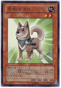 柴戦士タロの値段と価格推移は？｜9件の売買データから柴戦士タロの