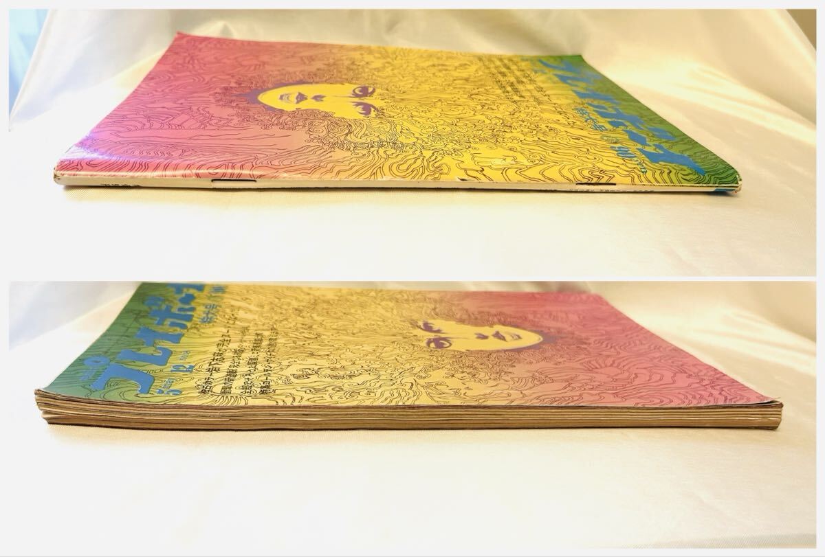 難あり】週刊 プレイボーイ 1970 昭和45年5月12日号 No.18 篠山紀信