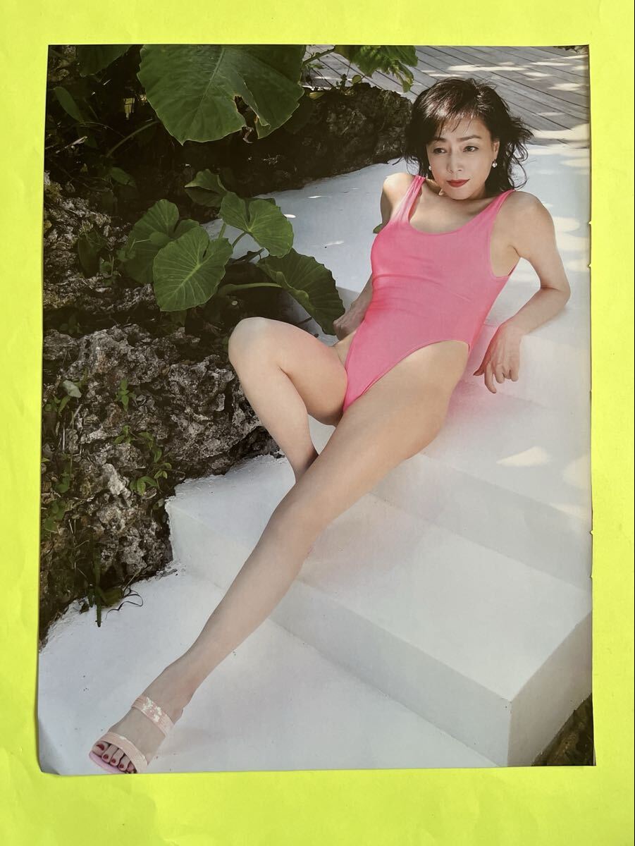FR 4☆柏原芳恵☆切り抜き4P FRIDAY フライデー 2025 送料140円