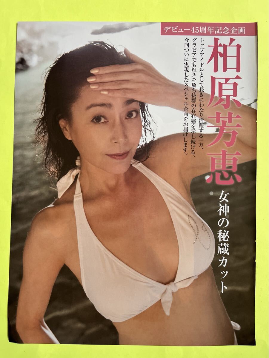 FR 4☆柏原芳恵☆切り抜き4P FRIDAY フライデー 2025 送料140円