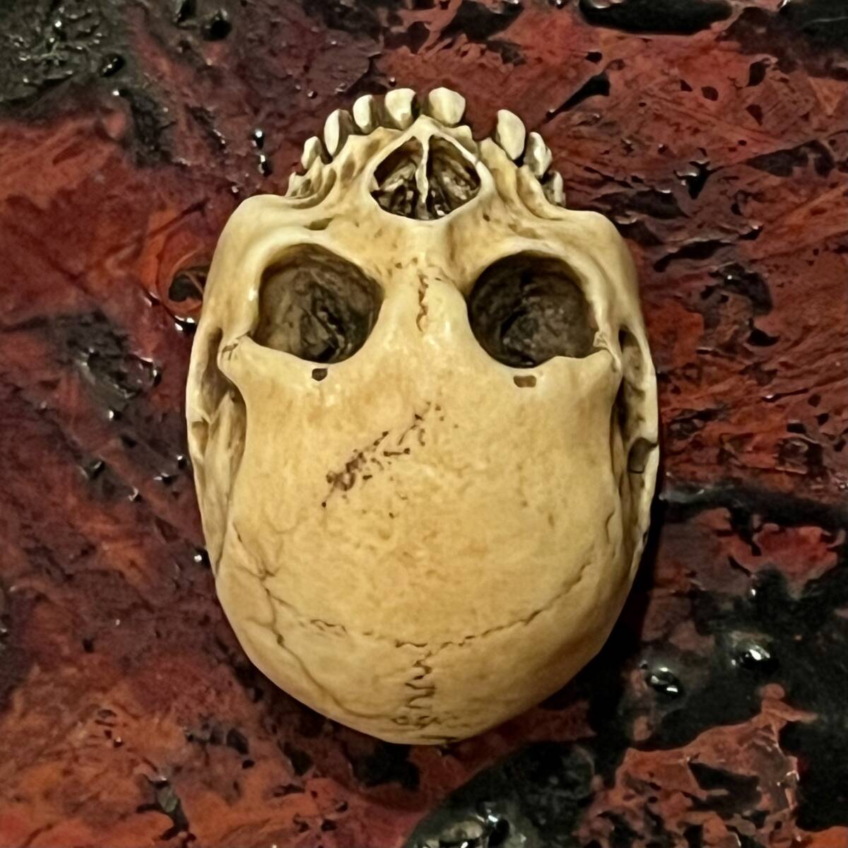 野晒し 髑髏 根付 鹿角彫り 銘有 ドクロ 和装小物 骸骨 スカル Skull