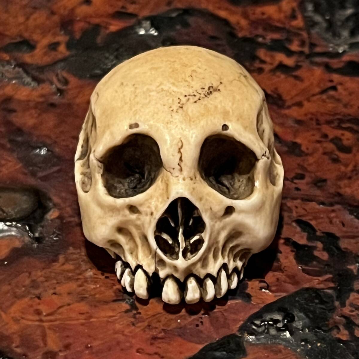 野晒し 髑髏 根付 鹿角彫り 銘有 ドクロ 和装小物 骸骨 スカル Skull