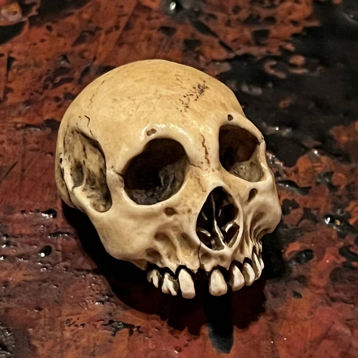 野晒し 髑髏 根付 鹿角彫り 銘有 ドクロ 和装小物 骸骨 スカル Skull