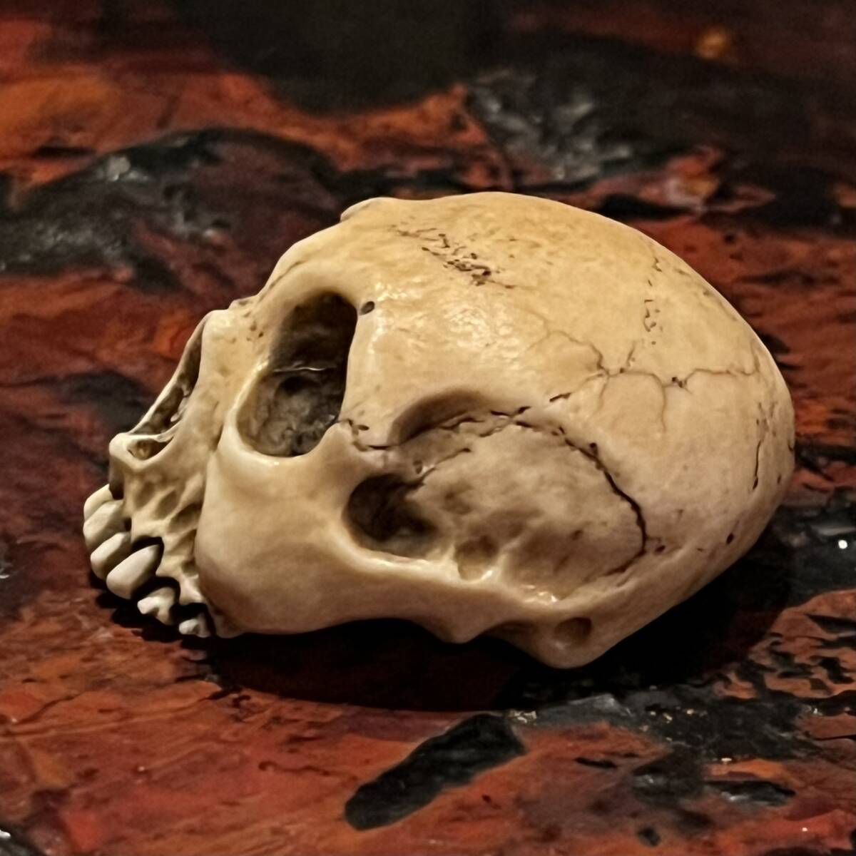 野晒し 髑髏 根付 鹿角彫り 銘有 ドクロ 和装小物 骸骨 スカル Skull 