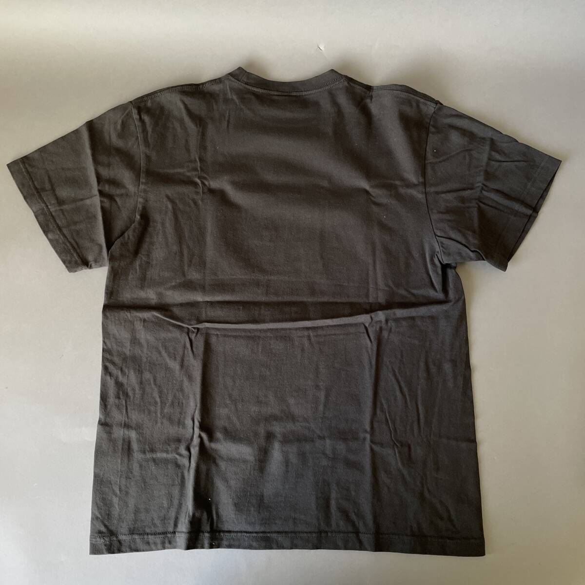 MS3901 GAUZE ガーゼ バンド Tシャツ 2点 SAVE THE LIVE HOUSE グレー