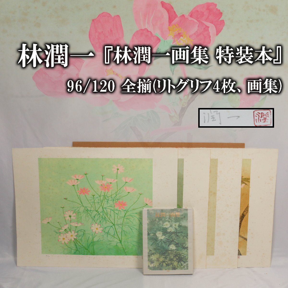 SAG】林潤一 『林潤一画集 特装本』96/120 全揃(リトグリフ4枚、画集