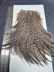 ホフマン ハックルの値段と価格推移は？｜4件の売買データからホフマン