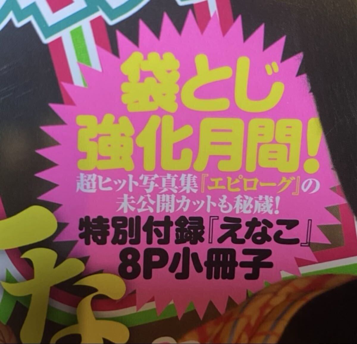 えなこ ヤングジャンプ レトルトパウチ 写真 ブロマイド 5枚セット 五