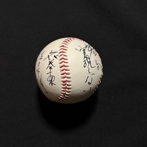 甲子園ボール 準決勝ボール - 阪神甲子園球場公式オンラインショップ 甲子園eモール