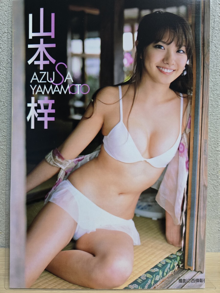 山本梓】[150μmラミネート加工切り抜き8ページ]ヤングマガジン 2009年