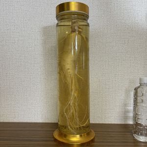 古酒　高麗人参入りガラスボトル 高麗人参酒のYahoo!オークション(旧ヤフオク!)の相場・価格を見る