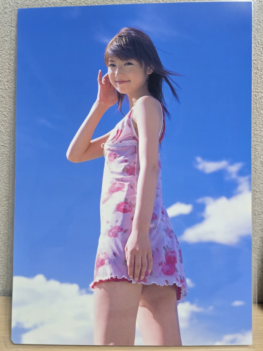 小倉優子】[150μmラミネート加工 切り抜き10ページ]ヤングアニマル嵐