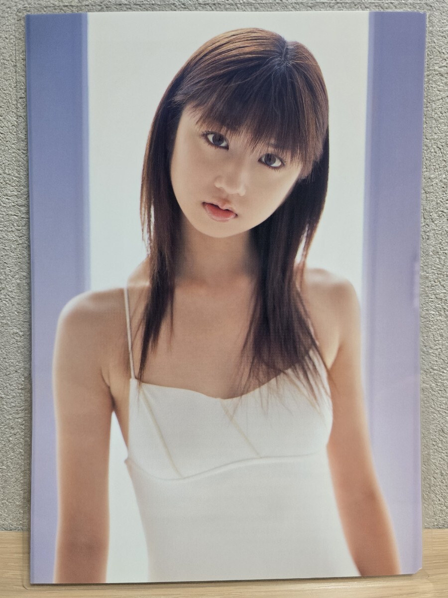 小倉優子】[150μmラミネート加工 切り抜き10ページ]ヤングアニマル嵐