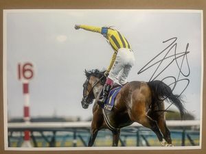 横山武史騎手の値段と価格推移は？｜25件の売買データから横山武史騎手