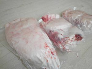 熊の手の値段と価格推移は？｜20件の売買データから熊の手の価値が