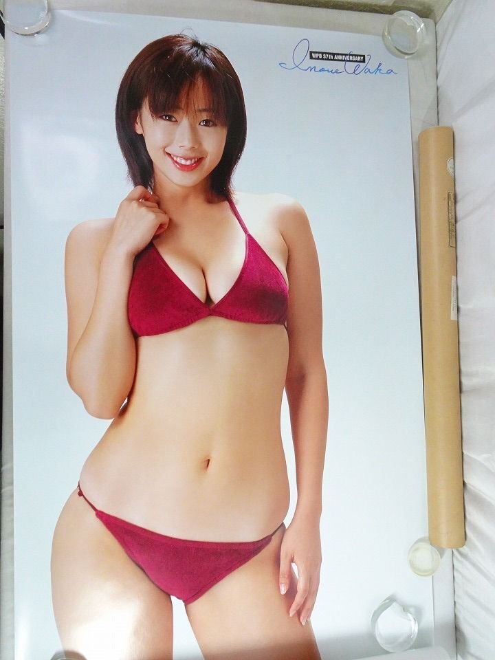 プレイボーイ ポスターの値段と価格推移は？｜71件の売買データから
