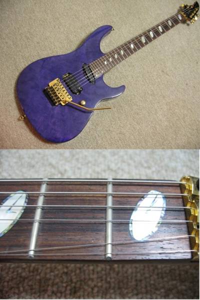 レア 27 フレットギター CAPARISON Horus キャパリソン ホルス(本体
