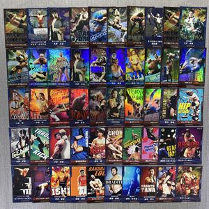 キングオブプロレスリングカードの値段と価格推移は？｜2件の売買