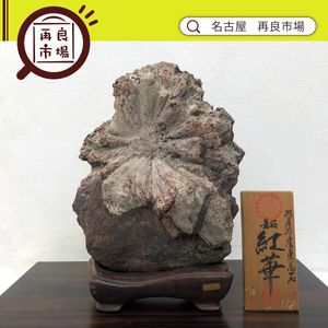根尾谷菊花石の値段と価格推移は？｜2件の売買データから根尾谷菊花石
