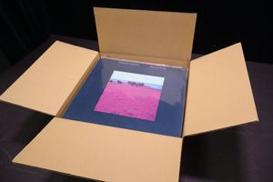 496位 F558【ジャンク品】LP レコード 約30点 まとめて Buddy Holly 柴田聡子 Ricky Nelson ボ