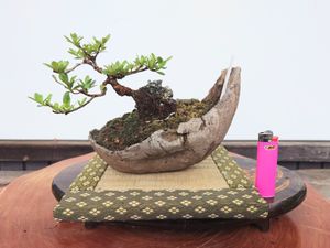 皐月 恵のYahoo!オークション(旧ヤフオク!)の相場・価格を見る｜Yahoo